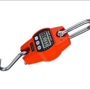 Crane Scale