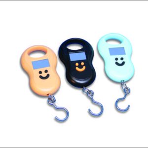Mega Digital Hanging